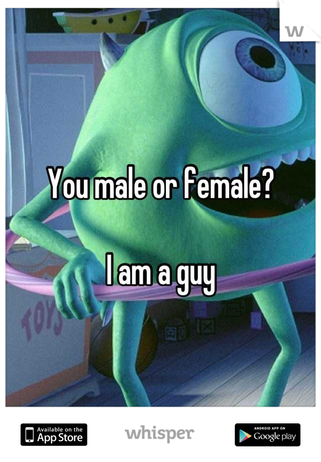 You male or female?

I am a guy