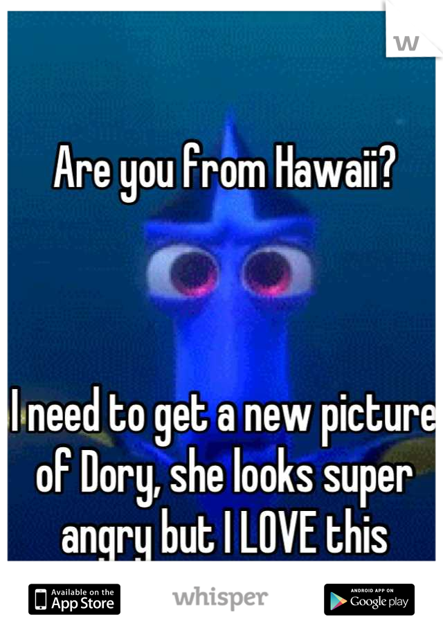 Are you from Hawaii?



I need to get a new picture of Dory, she looks super angry but I LOVE this picture lol