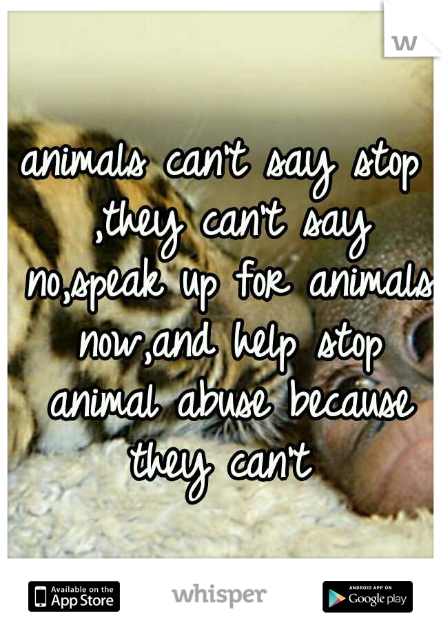 animals can't say stop ,they can't say no,speak up for animals now,and help stop animal abuse because they can't 