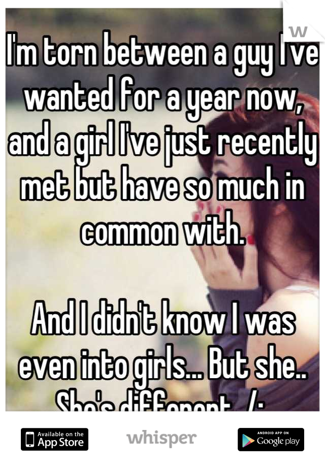 I'm torn between a guy I've wanted for a year now, and a girl I've just recently met but have so much in common with. 

And I didn't know I was even into girls... But she.. She's different. /: 