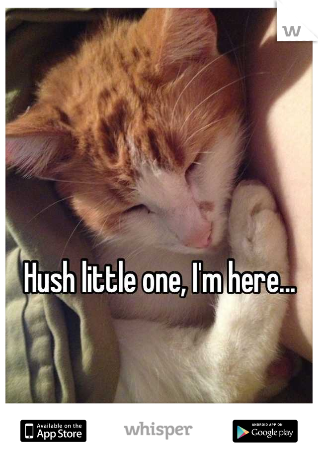 Hush little one, I'm here...
