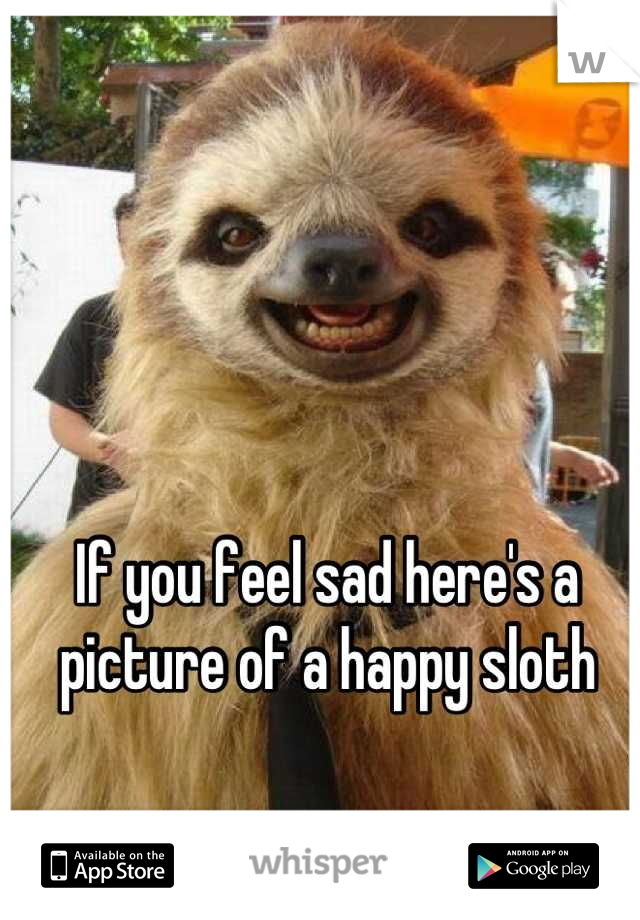 If you feel sad here's a picture of a happy sloth