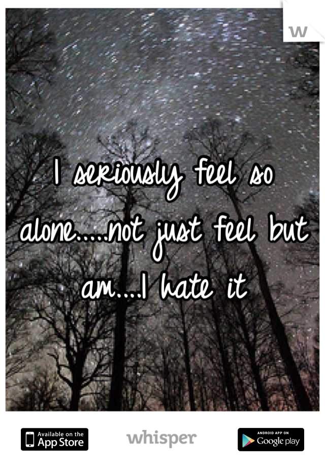 I seriously feel so alone.....not just feel but  am....I hate it