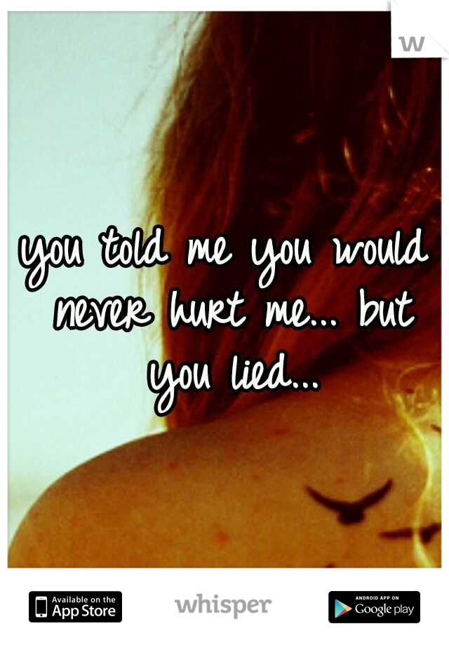 you told me you would never hurt me... but you lied...