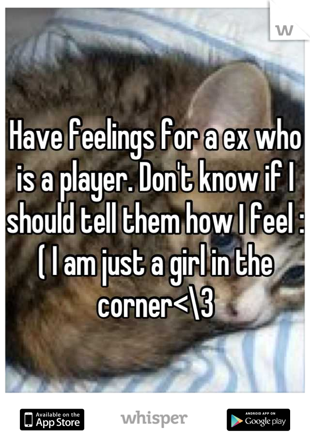 Have feelings for a ex who is a player. Don't know if I should tell them how I feel :( I am just a girl in the corner<\3