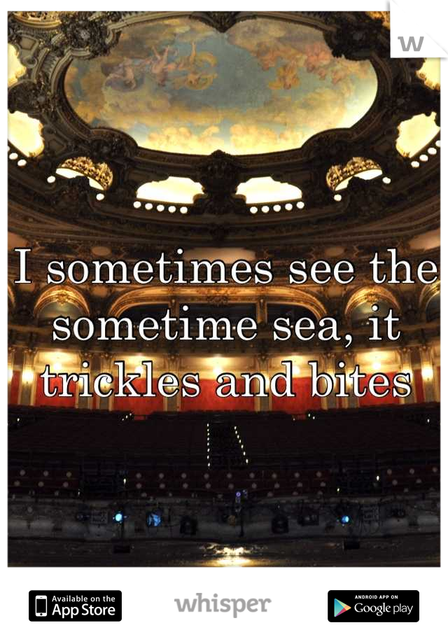 I sometimes see the sometime sea, it trickles and bites