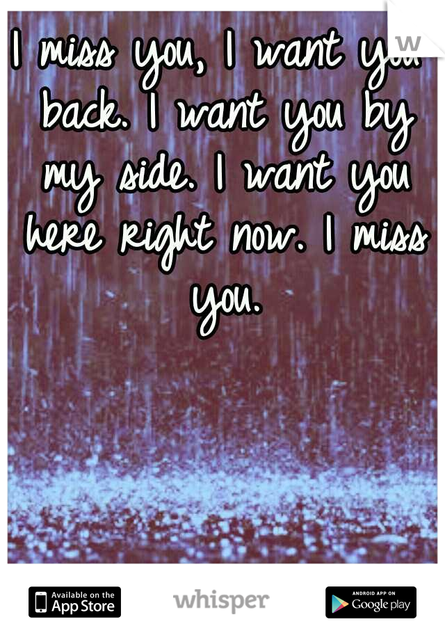 I miss you, I want you back. I want you by my side. I want you here right now. I miss you.