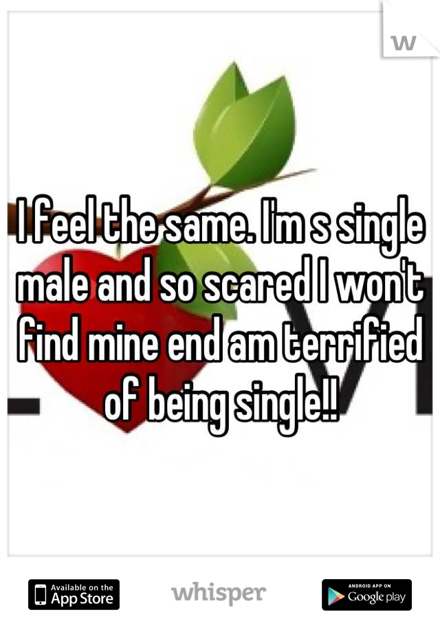 I feel the same. I'm s single male and so scared I won't find mine end am terrified of being single!!