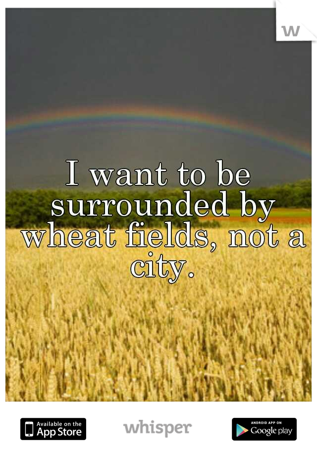 I want to be surrounded by wheat fields, not a city.