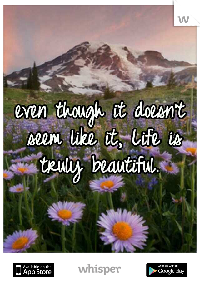 even though it doesn't seem like it, Life is truly beautiful. 