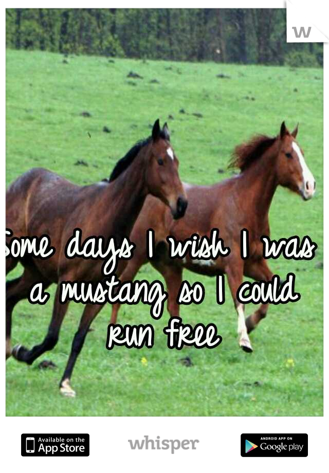 Some days I wish I was a mustang so I could run free