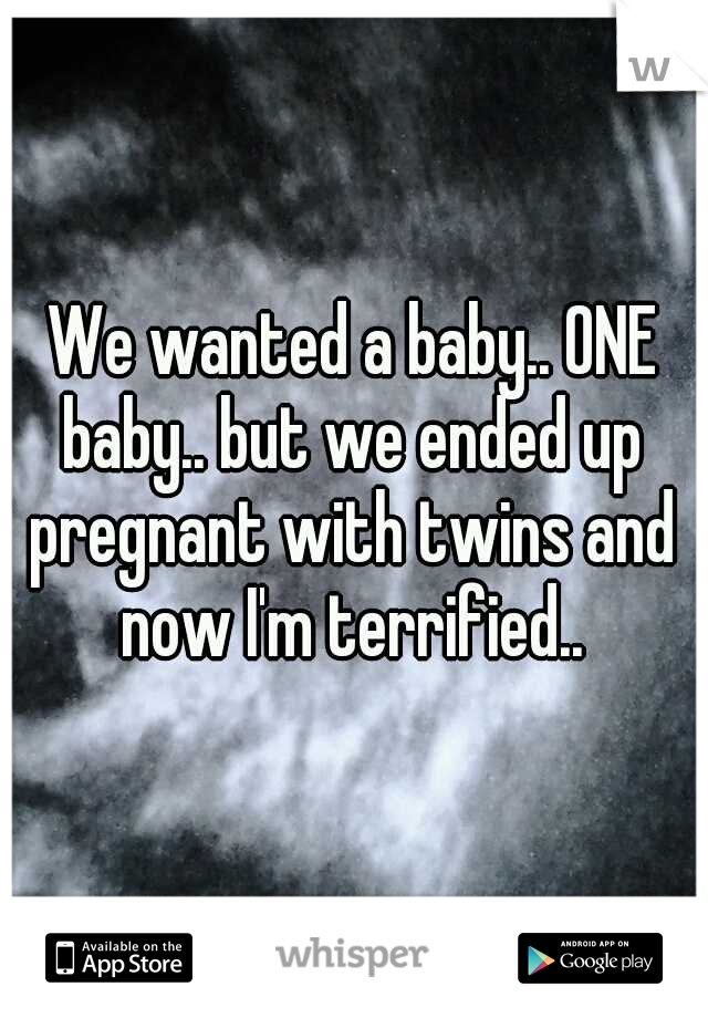 We wanted a baby.. ONE baby.. but we ended up pregnant with twins and now I'm terrified..