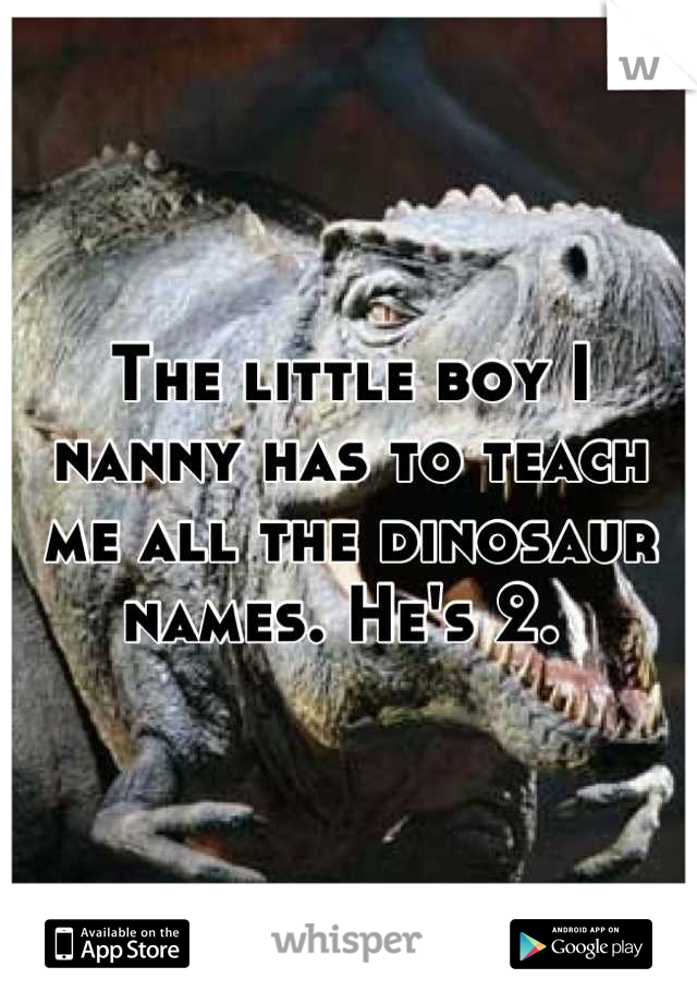 The little boy I nanny has to teach me all the dinosaur names. He's 2. 