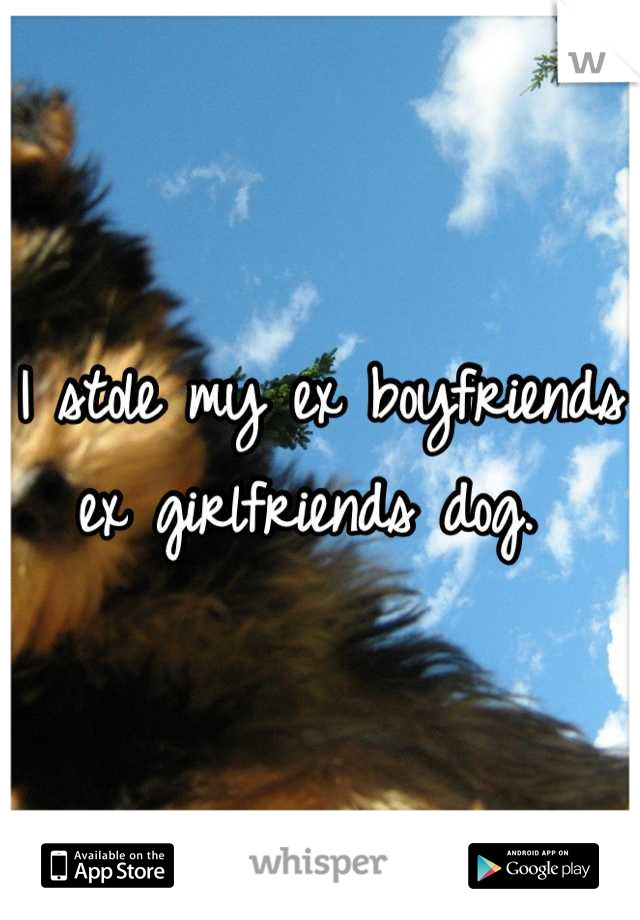 I stole my ex boyfriends ex girlfriends dog. 