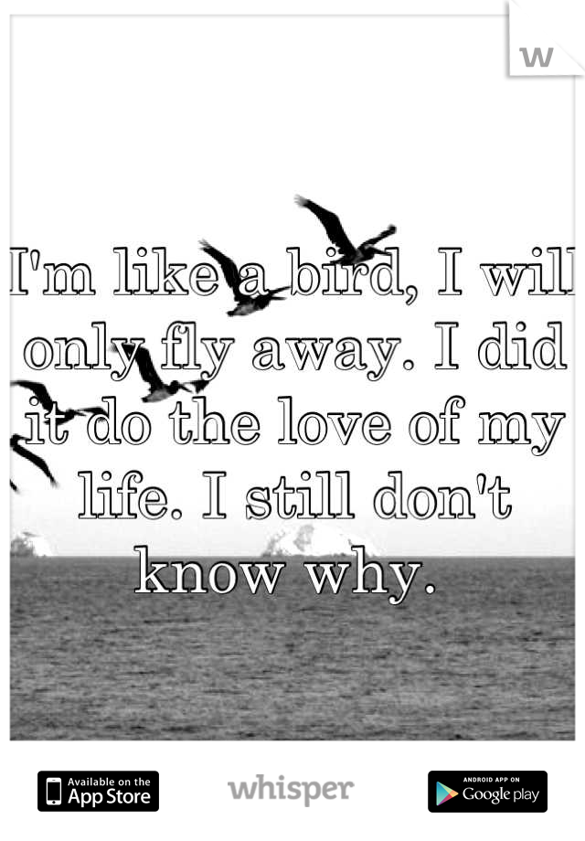 I'm like a bird, I will only fly away. I did it do the love of my life. I still don't know why. 