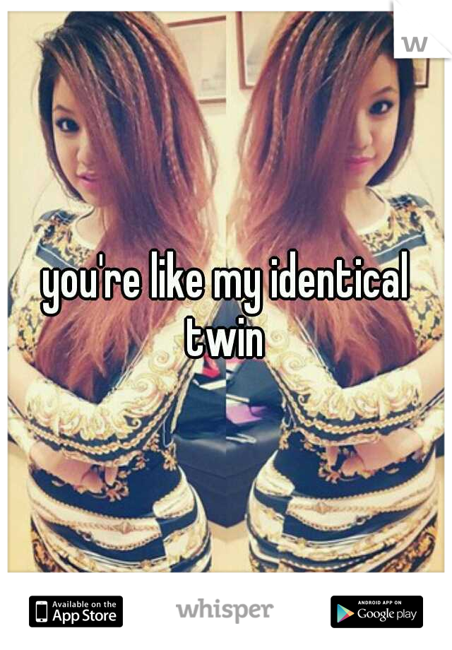 you're like my identical twin 