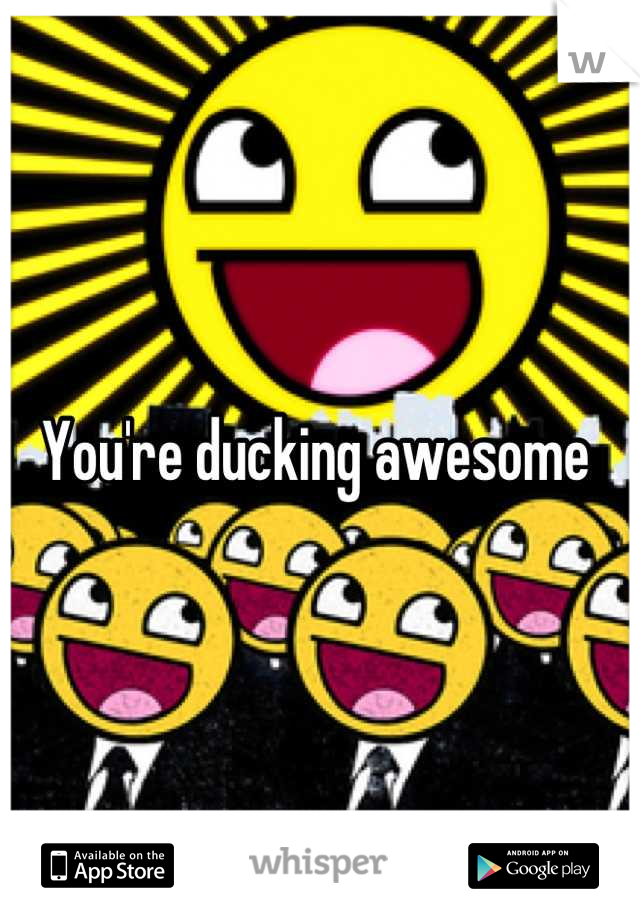 You're ducking awesome 