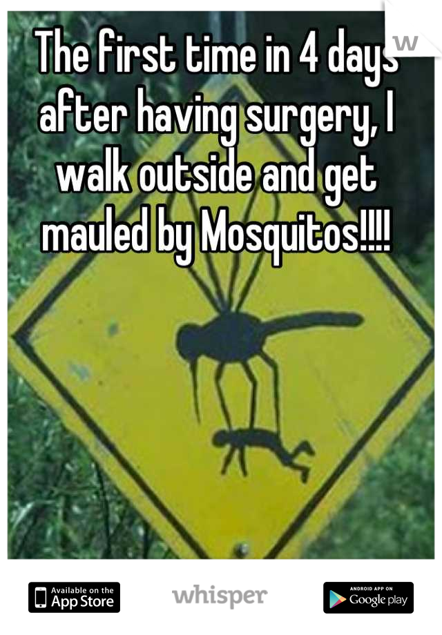 The first time in 4 days after having surgery, I walk outside and get mauled by Mosquitos!!!!
