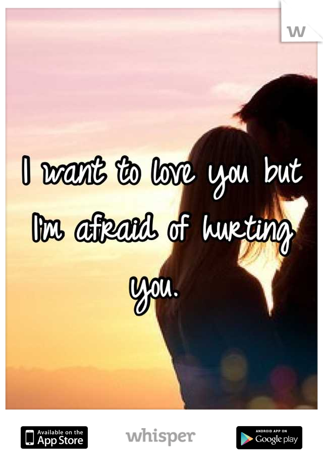 I want to love you but I'm afraid of hurting you. 