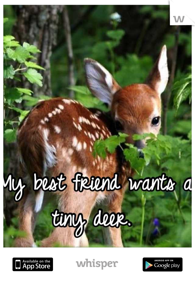My best friend wants a tiny deer. 