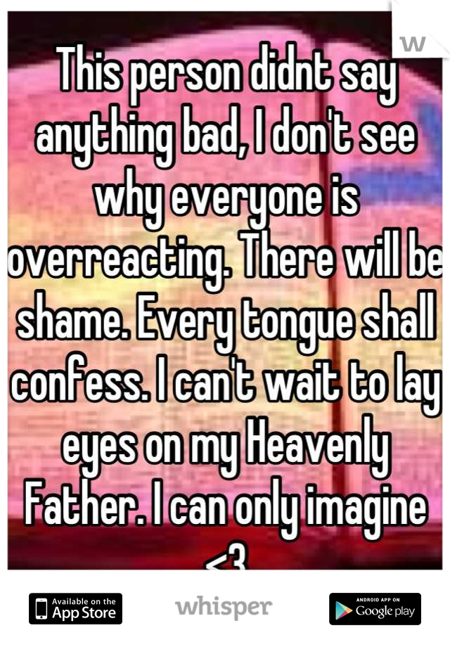 This person didnt say anything bad, I don't see why everyone is overreacting. There will be shame. Every tongue shall confess. I can't wait to lay eyes on my Heavenly Father. I can only imagine <3