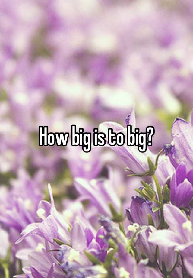 how-big-is-to-big