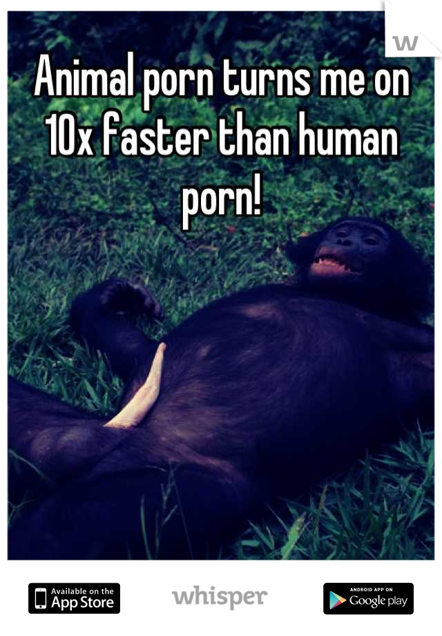 Animal porn turns me on 10x faster than human porn!
