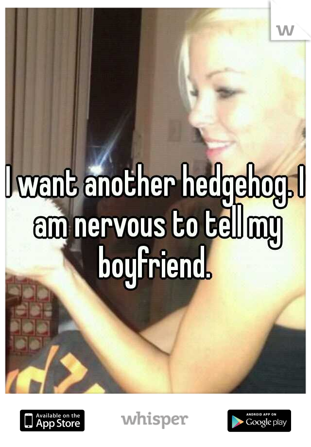 I want another hedgehog. I am nervous to tell my boyfriend. 