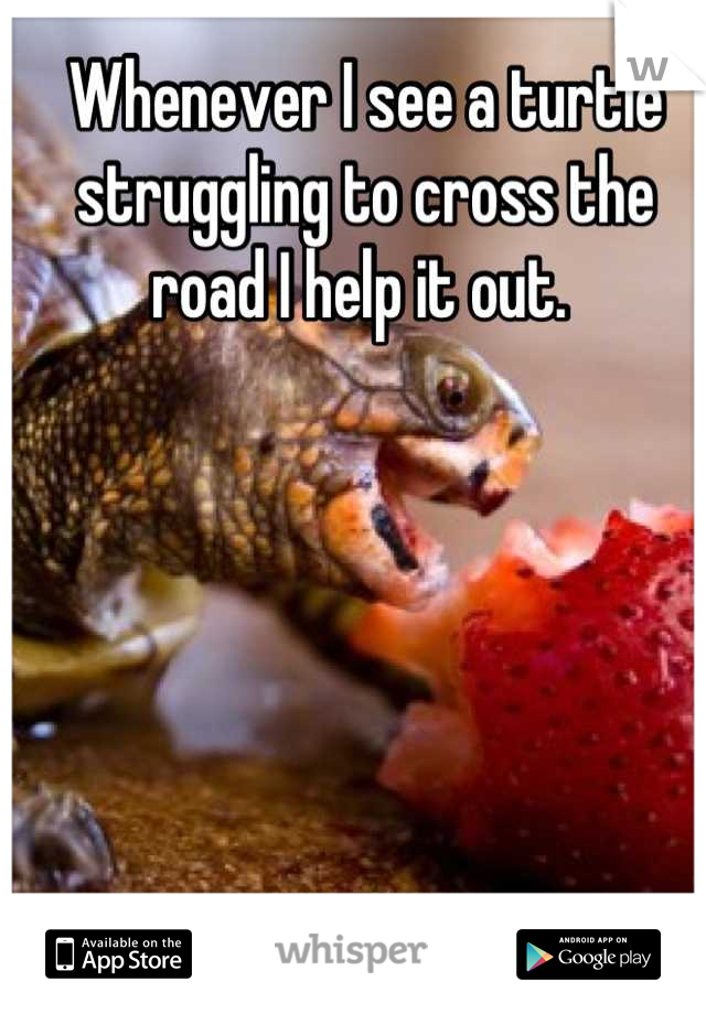 Whenever I see a turtle struggling to cross the road I help it out. 