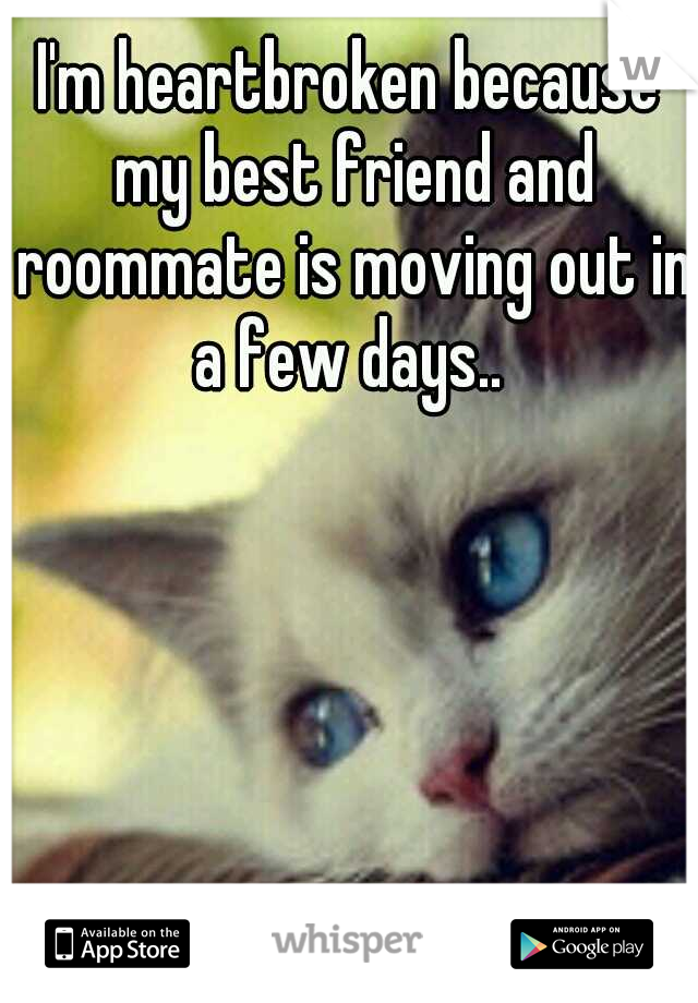 I'm heartbroken because my best friend and roommate is moving out in a few days.. 