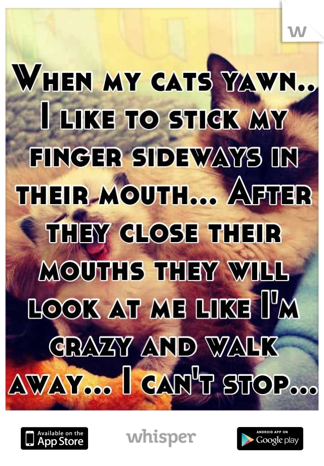 When my cats yawn.. I like to stick my finger sideways in their mouth... After they close their mouths they will look at me like I'm crazy and walk away... I can't stop...