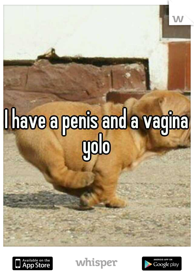 I have a penis and a vagina yolo 
