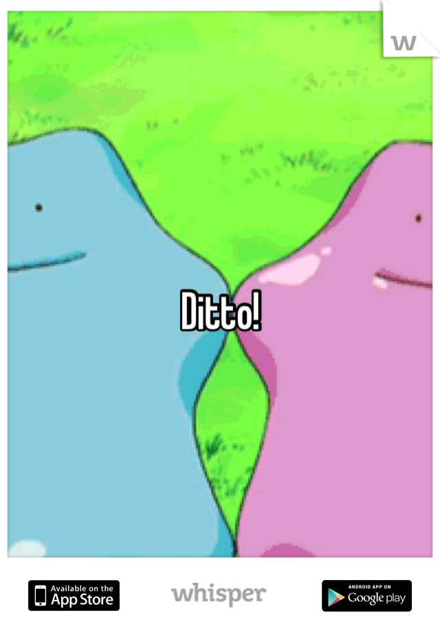 Ditto!