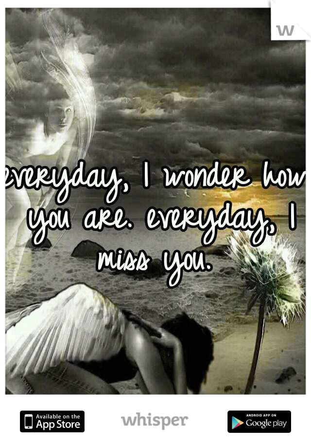everyday, I wonder how you are. everyday, I miss you. 