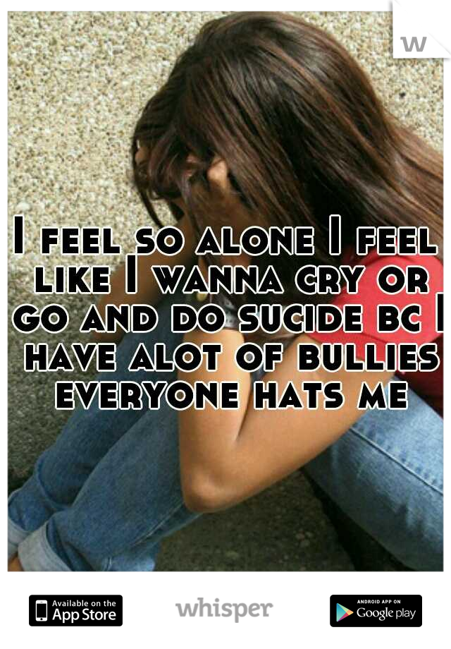 I feel so alone I feel like I wanna cry or go and do sucide bc I have alot of bullies everyone hats me
