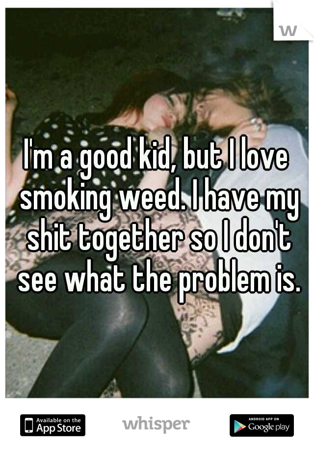I'm a good kid, but I love smoking weed. I have my shit together so I don't see what the problem is.