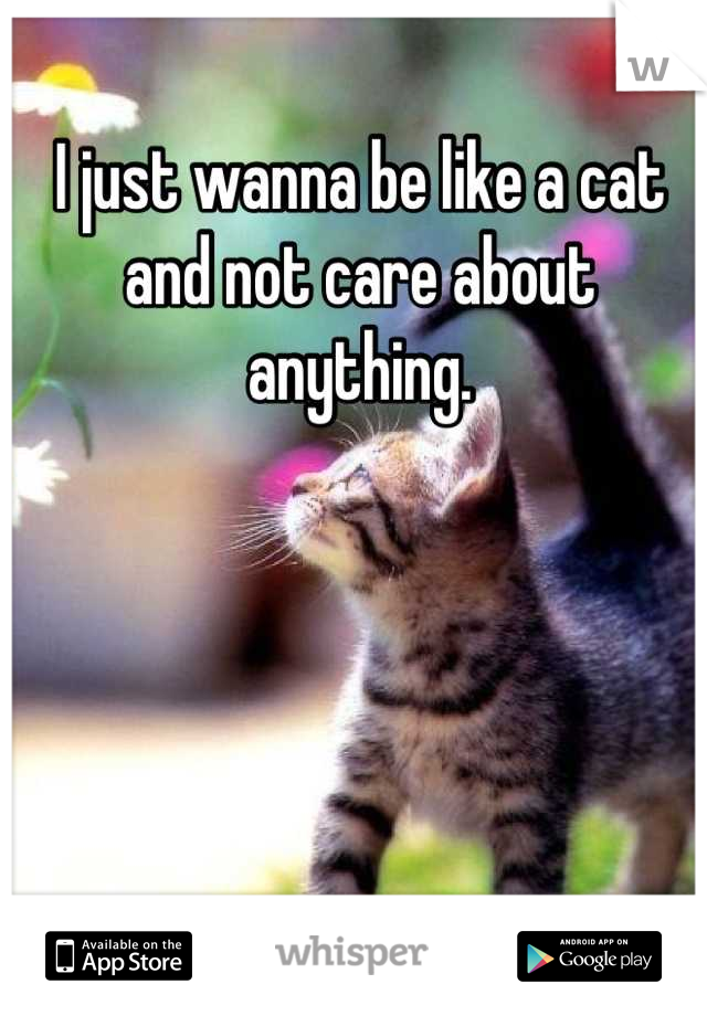 I just wanna be like a cat and not care about anything.