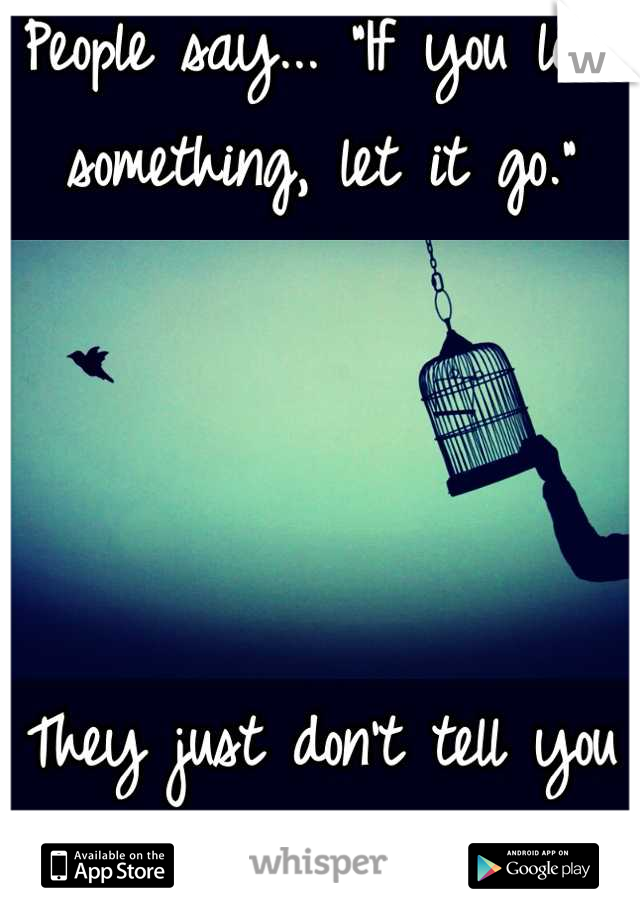 People say... "If you love something, let it go."




They just don't tell you how much it hurts. 