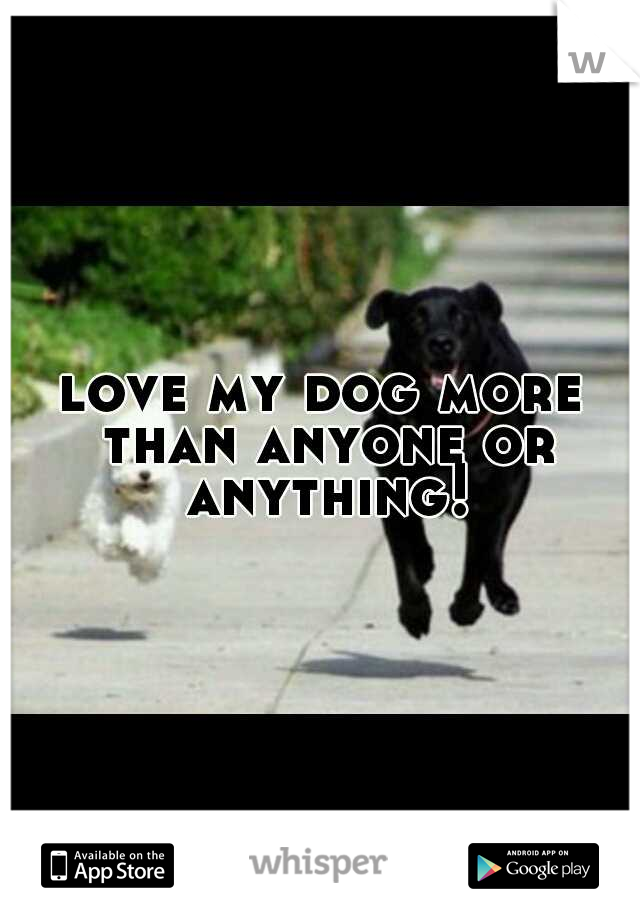 love my dog more than anyone or anything!