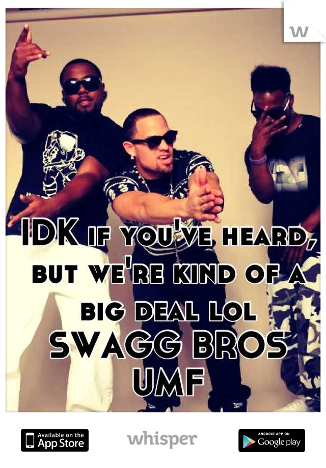 IDK if you've heard, but we're kind of a big deal lol 
SWAGG BROS
UMF