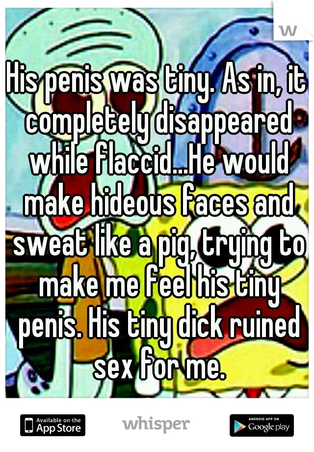 His penis was tiny. As in, it completely disappeared while flaccid...He would make hideous faces and sweat like a pig, trying to make me feel his tiny penis. His tiny dick ruined sex for me.