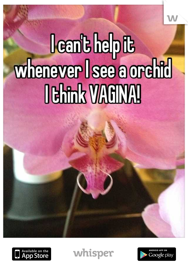 I can't help it 
whenever I see a orchid
I think VAGINA!
