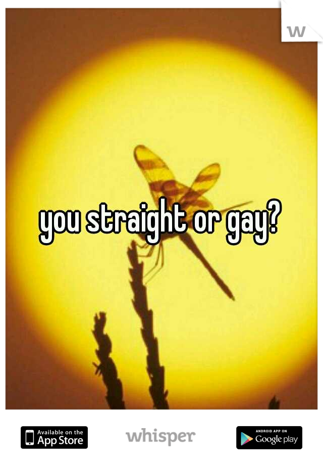 you straight or gay?