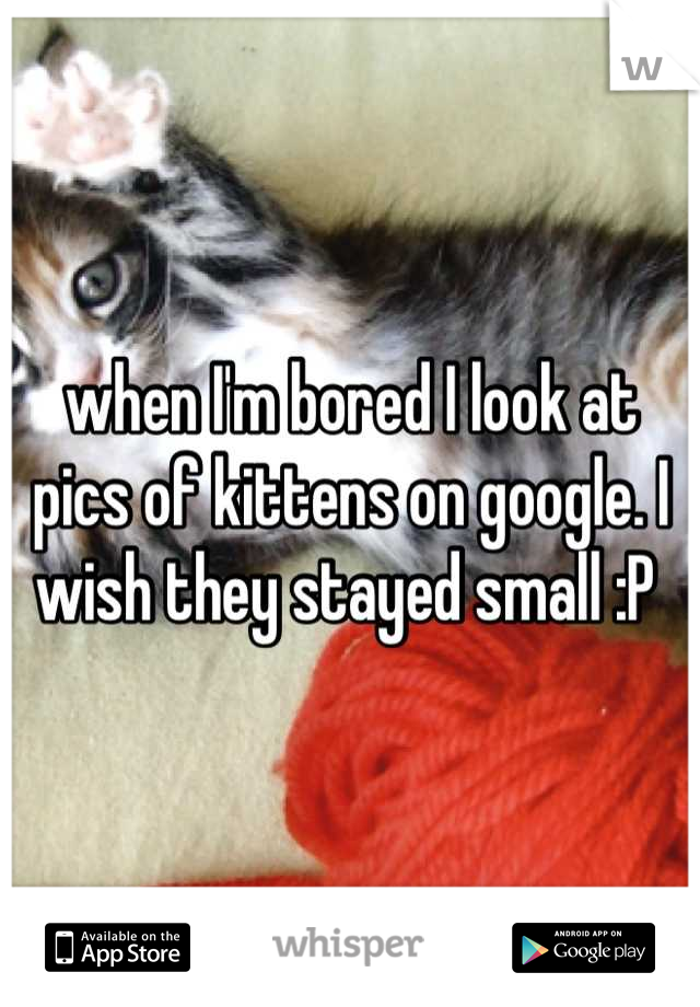 when I'm bored I look at pics of kittens on google. I wish they stayed small :P 