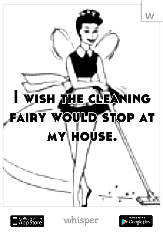 I wish the cleaning fairy would stop at my house.