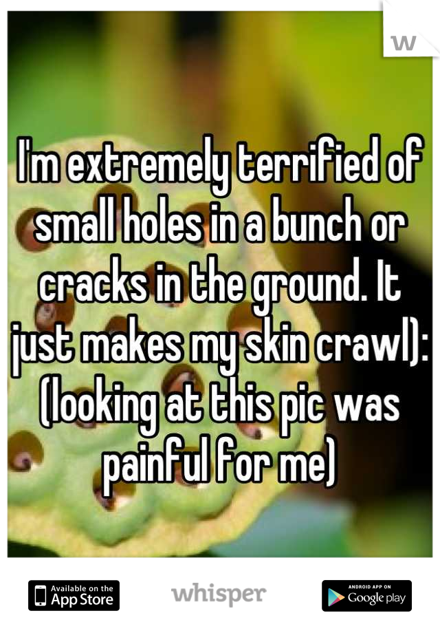 I'm extremely terrified of small holes in a bunch or cracks in the ground. It just makes my skin crawl): (looking at this pic was painful for me)