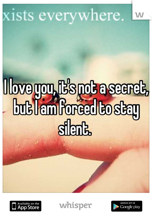 I love you, it's not a secret, but I am forced to stay silent. 