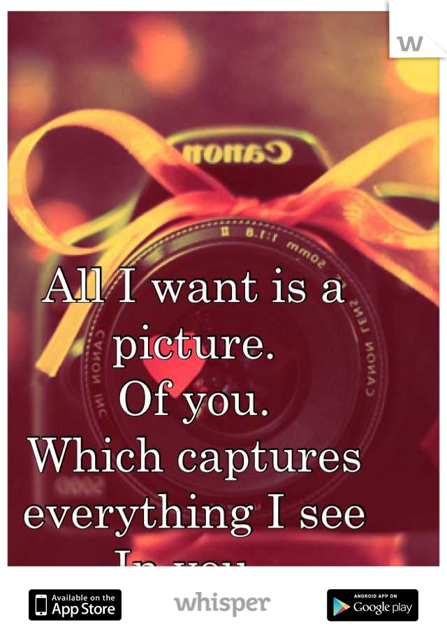 All I want is a picture.
Of you. 
Which captures everything I see 
In you. 