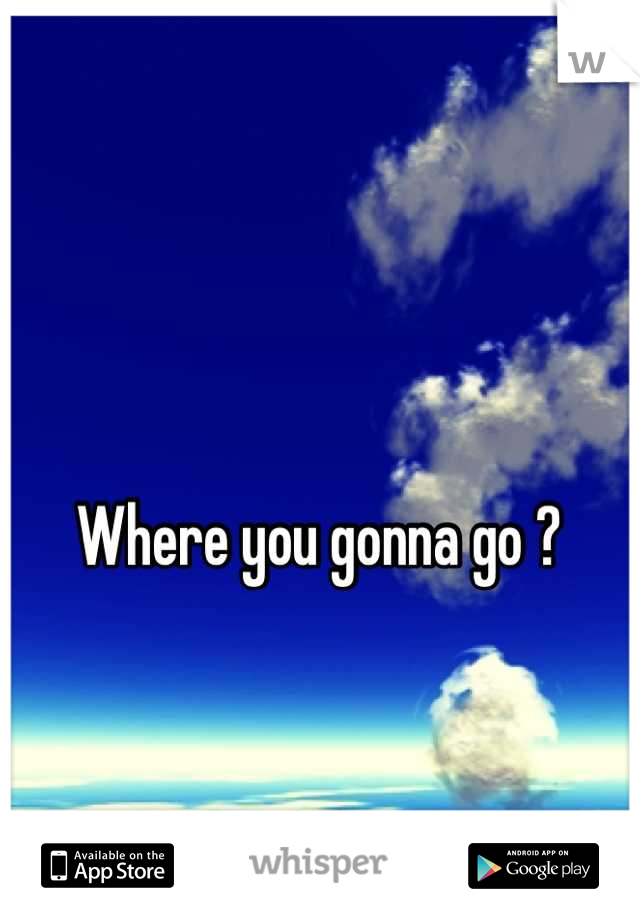 Where you gonna go ?

