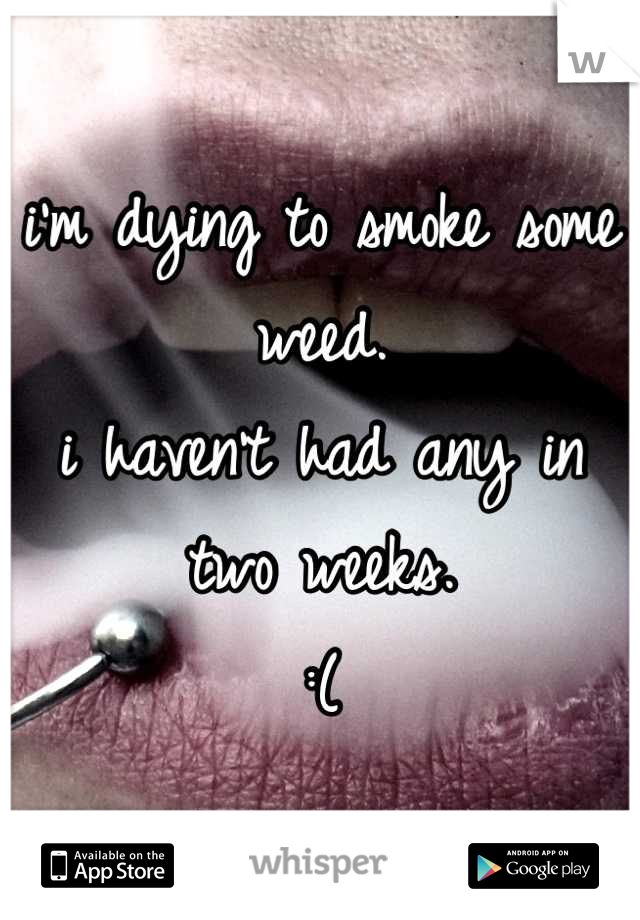 i'm dying to smoke some weed.
i haven't had any in two weeks.
:(